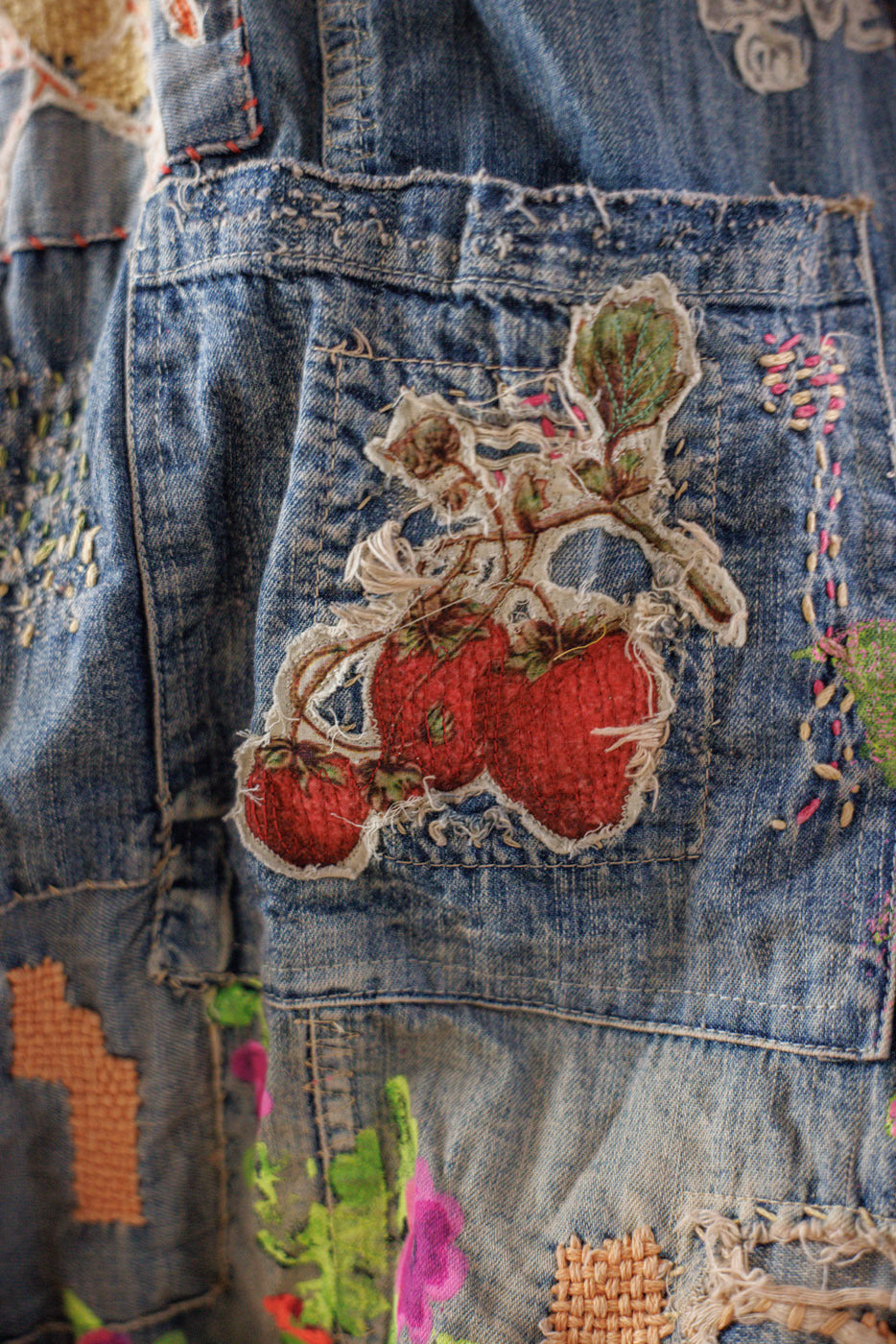 Embroidered Art Graphic Frankie Denims